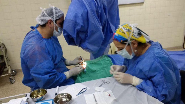 Los médicos estiman que en un futuro harán cirugías de alta complejidad.