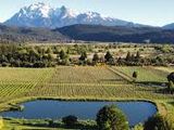 El 6% del total de las exportaciones de vinos con Indicación Geográfica (IG) corresponden a bodegas del a Patagonia.