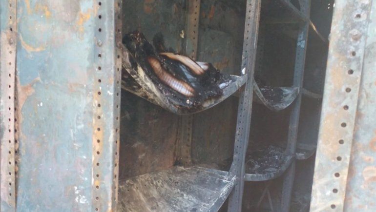 Rebelión en Chubut: los terribles destrozos en los edificios gubernamentales