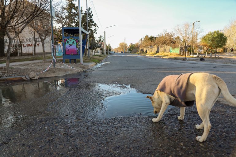 Esperan que tanto el EPAS como la Municipalidad de Neuquén realicen las obras necesarias.