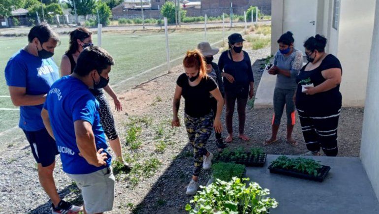 Acuerdan acciones para fortalecer la huerta pedagógica