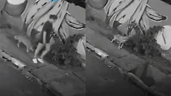 Una mujer desapareció en una alcantarilla mientras caminaba por la vereda en Brasil. Una mujer desapareció en una alcantarilla mientras caminaba por la vereda en Brasil.