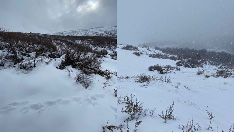 Así llegó la nieve al interior de Neuquén: cuál es el estado de las rutas en la cordillera