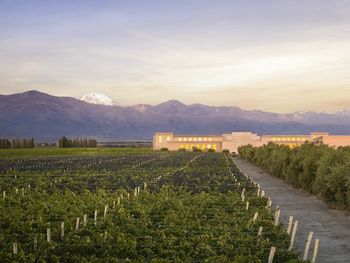 malbec renovable: una de las bodegas mas emblematicas del pais sera abastecida con energia solar y eolica malbec renovable: una de las bodegas mas emblematicas del pais sera abastecida con energia solar y eolica