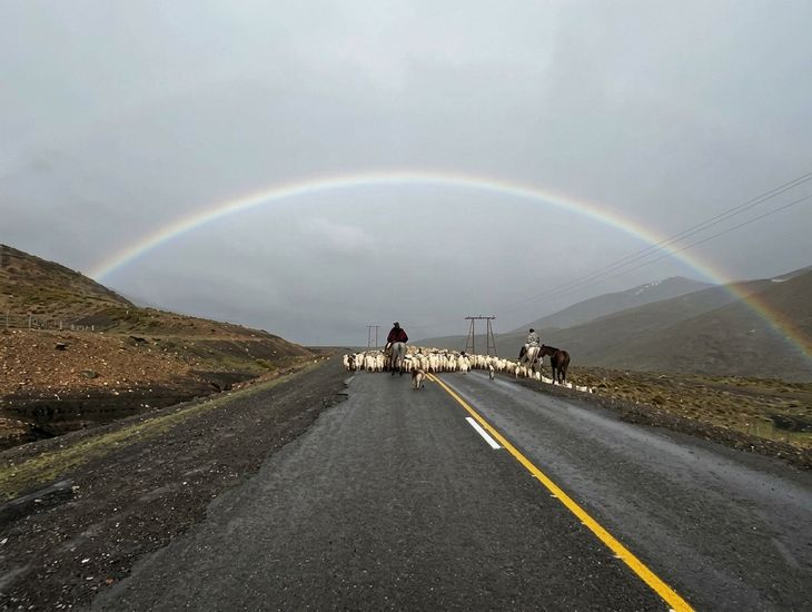 Arreo sobre la Ruta Provincial 43, en el sector El Cudío, entre Andacollo y Chos Malal. Foto IG @lizzmarilina&nbsp;