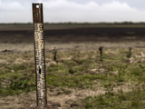 Los países de la Unión Europea dieron este lunes su aprobación final al Plan de Restauración de la Naturaleza. Foto:&nbsp;AP