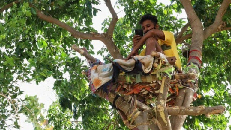 Vivió 11 días en un árbol para no contagiar a nadie