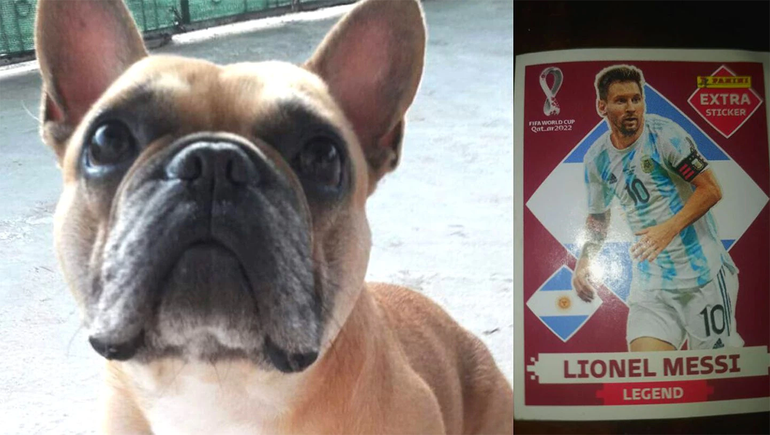 Un nene puso la figurita de Messi como recompensa para recuperar a un perro