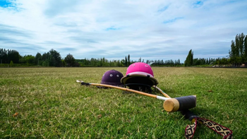 la original propuesta que combina vino, gastronomia y deporte en la vendimia neuquina la original propuesta que combina vino, gastronomia y deporte en la vendimia neuquina