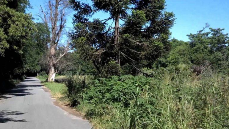 Encontraron el cadáver de una mujer y presumen que sea el de Anahí
