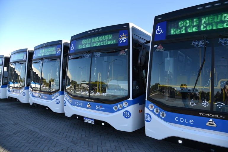En estas horas podría haber definiciones sobre el paro de colectivos en Neuquén. En estas horas podría haber definiciones sobre el paro de colectivos en Neuquén.
