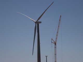 lo que el viento traera