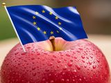 El hemisferios sur se reposiciona como principal abastecedor de manzanas de la UE en contraestación.