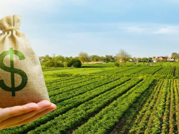 Argentina, el peor de todos. Argentina, el peor de todos.