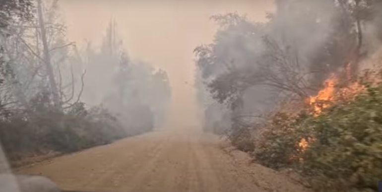 Incendio en Chubut: las llamas amenazan a El Abuelo, el segundo alerce más viejo del mundo