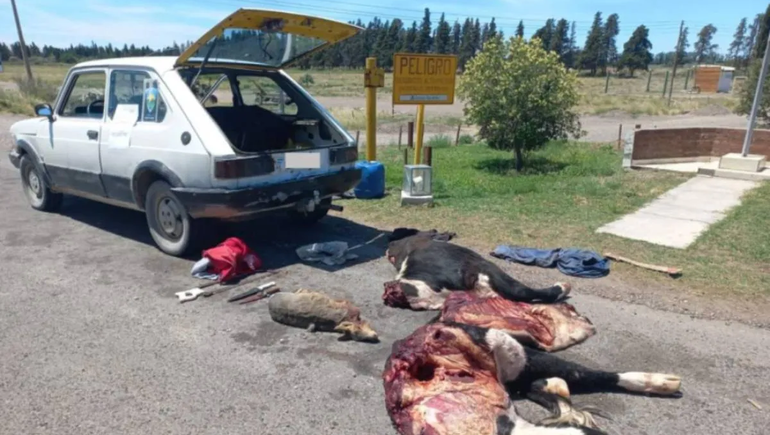 La Policía lo descubrió con animales faenados en el baúl. Foto: gentileza.