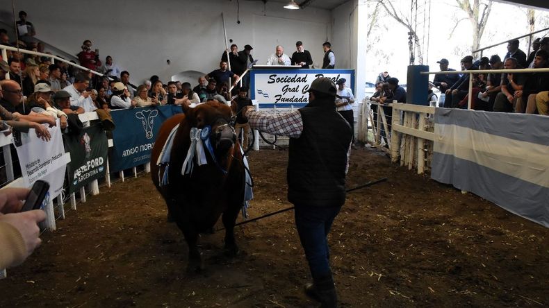 Expo Rural de Conesa: reclamos por previsibilidad y debate por la barrera sanitaria