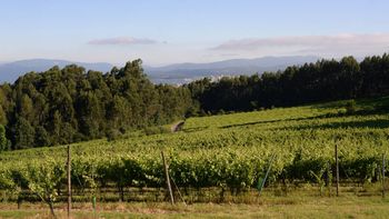 vinos oceanicos versus vinos continentales, dos mundos muy diferentes