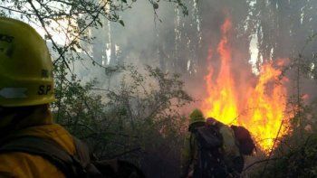 intensa lucha contra el fuego de bosques en el bolson