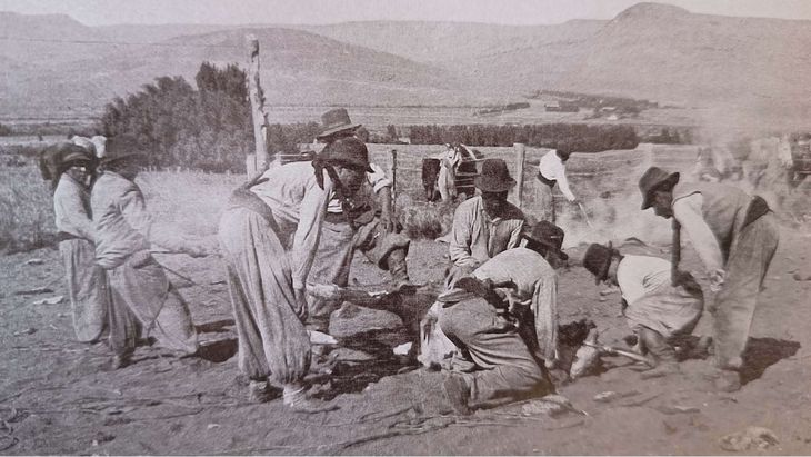 Neuquén, región sana y con futuro: el gran potencial de los valles irrigados.