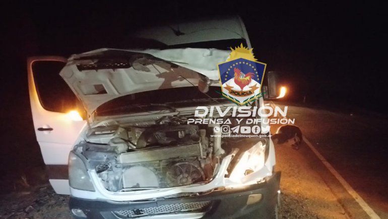 Otro choque contra un animal, esta vez cerca de Sauzal Bonito