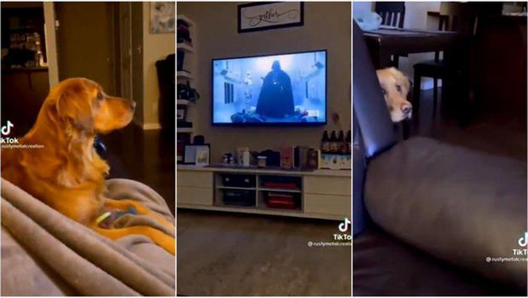 El clip cautiva a todos en TikTok&nbsp; y no tardó en viralizarse