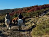 Con solo 120 vacas, estas comunidades lograron resultados que superan la media nacional.