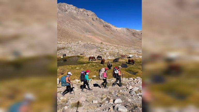 Una agencia del norte neuquino ofrecerá excursiones con arreos para turistas. 