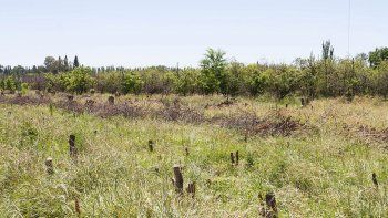 Resulta un contrasentido, pero en la inmensidad de la zona rural y de la estepa patagónica las tierras para viviendas son un bien escaso y cotizado en dólares. En la comuna, los gremios quieren más certezas sobre los loteos para municipales. Resulta un contrasentido, pero en la inmensidad de la zona rural y de la estepa patagónica las tierras para viviendas son un bien escaso y cotizado en dólares. En la comuna, los gremios quieren más certezas sobre los loteos para municipales.