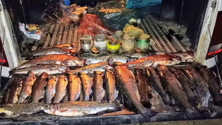 Truchas arco iris y carne de guanacho fue lo que más secuestraron. Truchas arco iris y carne de guanacho fue lo que más secuestraron.