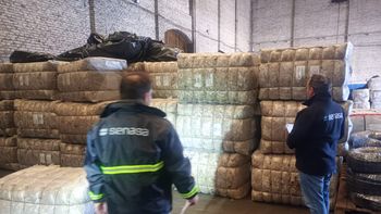 El primer cargamento de lana sucia salió desde Chubut hacia Uruguay bajo el nuevo esquema que permite a los productores vender directamente al exterior. | LM Neuquen El primer cargamento de lana sucia salió desde Chubut hacia Uruguay bajo el nuevo esquema que permite a los productores vender directamente al exterior.