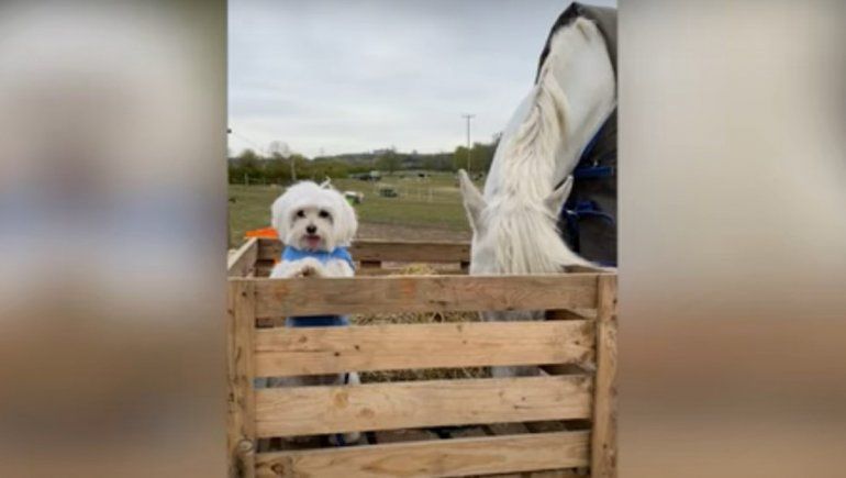 Este duo no dejan de sumar reproducciones en YouTube