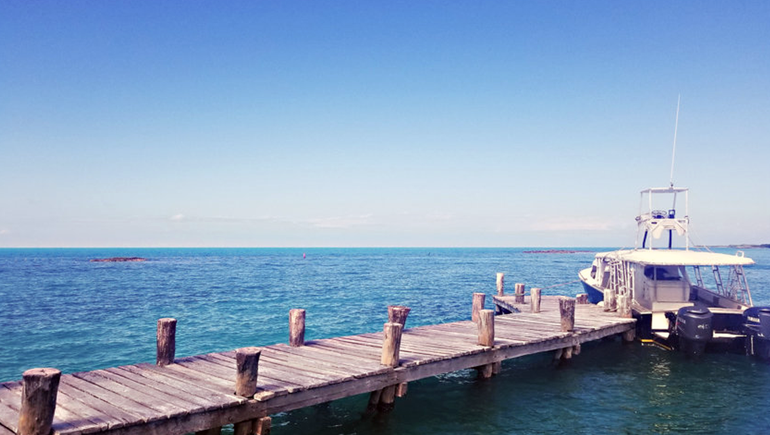 A la Isla Contoy se puede acceder en barco desde Cancún. A la Isla Contoy se puede acceder en barco desde Cancún.