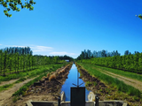 ¿De que se trata el&nbsp;el Informe de calidad del agua de uso agrícola? Foto INTA.