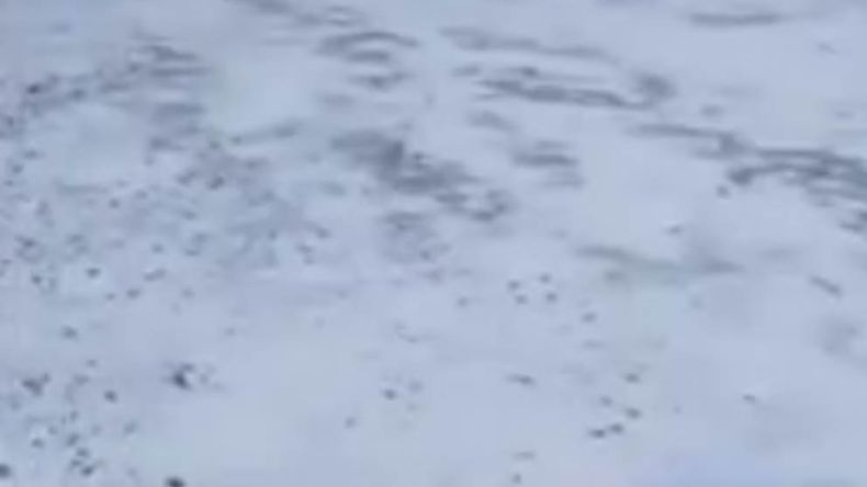 Continua el temporal de nieve en la región.&nbsp;