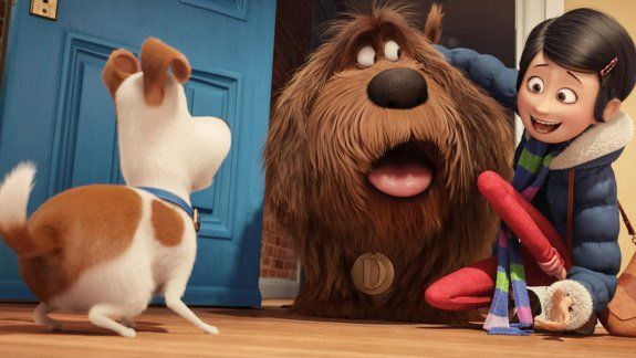 Max, el can de la casa, conoce a Duke, su nuevo compañero callejero que viene a romper con el statu quo del hogar.&nbsp;