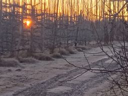 las temperaturas minimas en las chacras del alto valle tocaron -9°c las temperaturas minimas en las chacras del alto valle tocaron -9°c