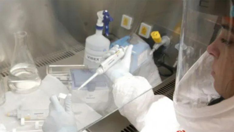 Delta: CABA estudia dos casos para establecer si hay circulacion comunitaria