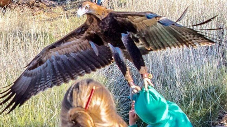 Este es el momento del ataque. El nene sufrió heridas en la cara.