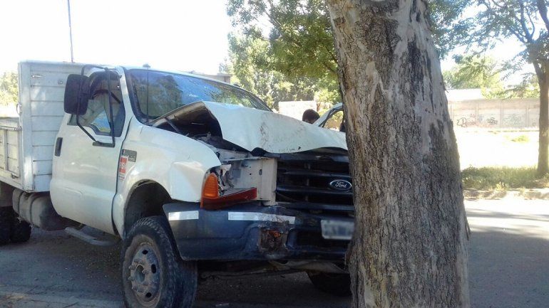 El camión marca Ford impactó de lleno contra el árbol.