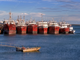 Las exportaciones a China superaron los 486 millones de dólares, traccionadas por la zafra récord.