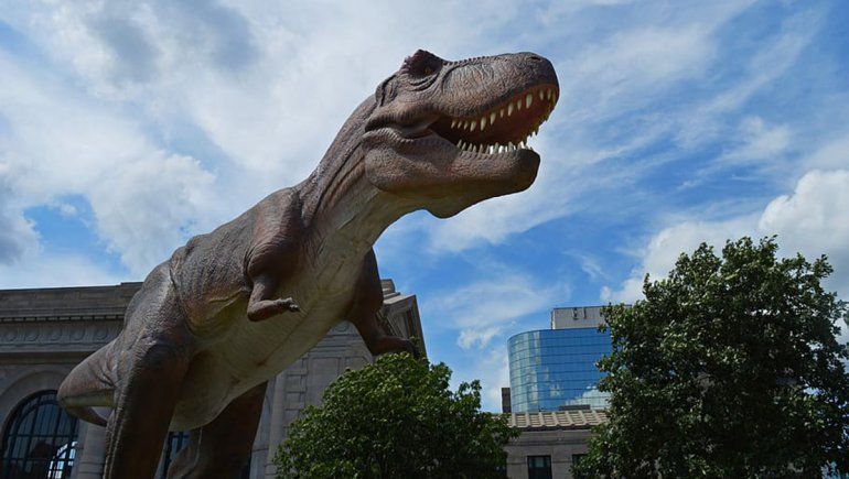 El hallazgo en Google Maps generó reacciones en TikTok