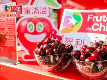 Una alianza más que firme entre Chile y China.