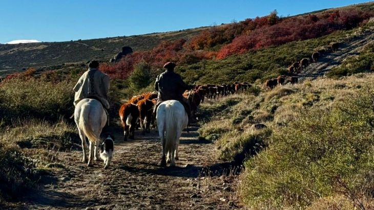 Con solo 120 vacas, estas comunidades lograron resultados que superan la media nacional.