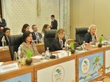 Royon abordó la transición energética ante sus pares en la India