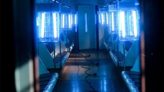 Avanza la implementación de lámparas UV para eliminar el coronavirus