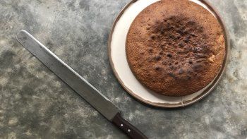 bizcochuelo dulce de leche