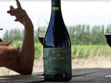 De lujo: se presentará el vino Llao Llao Blend Patagónico 2018 en Neuquén