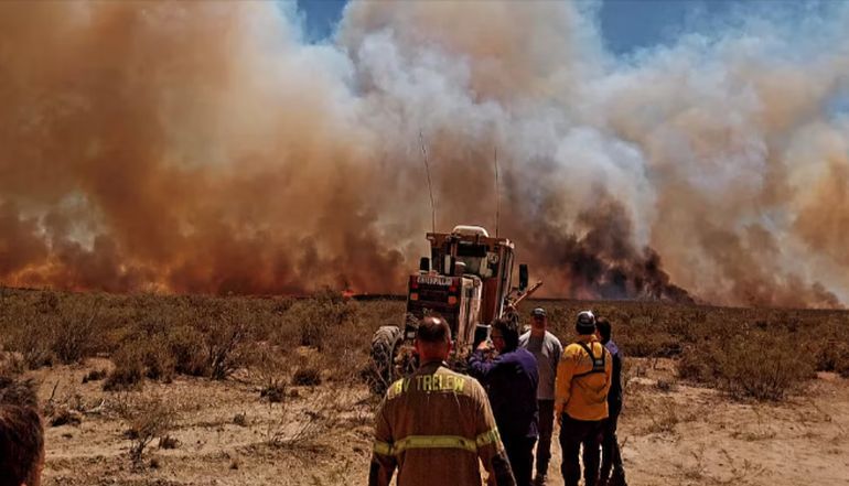 La dificultad para acceder al terreno con vehículos pesados limitó la rapidez de respuesta ante los focos de incendio que se expandían velozmente. La dificultad para acceder al terreno con vehículos pesados limitó la rapidez de respuesta ante los focos de incendio que se expandían velozmente. 