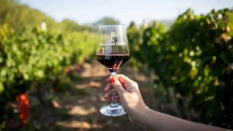 Fincas del Limay, la bodega boutique en constante crecimiento